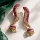 magnific__replace-image-1-earnings-with-image-2-and-close-up__13350